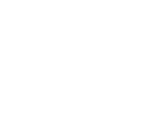 Icon 66
